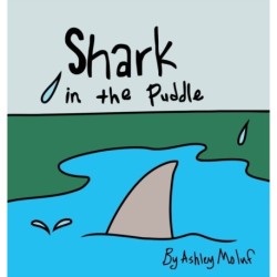 Shark in the Puddle