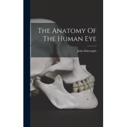 The Anatomy Of The Human Eye
