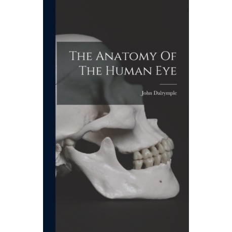 The Anatomy Of The Human Eye