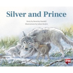 Silver & Prince X6