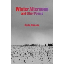 Winter Afternoon and Other Poems