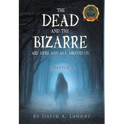 The Dead and the Bizarre are here and all around us: Chapter 3
