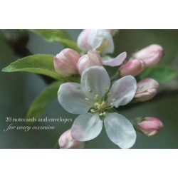 Cardbox of 20 Notecards and Envelopes: Apple Blossom