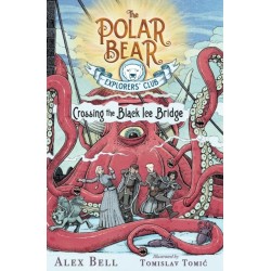 Crossing the Black Ice Bridge