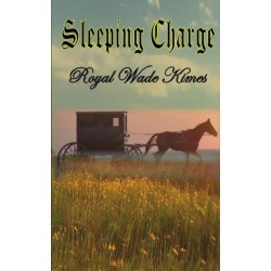 Sleeping Charge