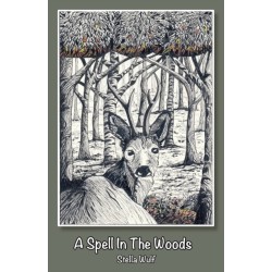 A Spell in The Woods