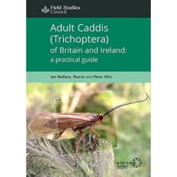 Adult Caddis (Trichoptera) of Britain and Ireland: a practical guide
