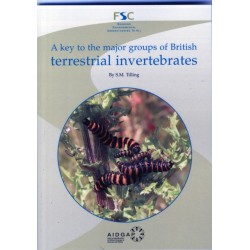 A Key to the Major Groups of Terrestrial Invertebrates