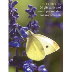 Butterfly Large Card Box