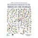 HBW and BirdLife International Illustrated Checklist of the Birds of the World vol.2