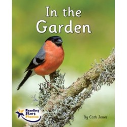 In the Garden: Phase 4