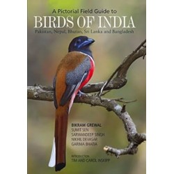 Birds of India