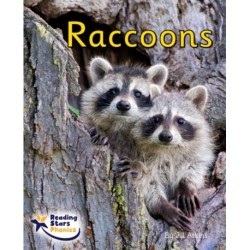 Raccoons: Phase 4