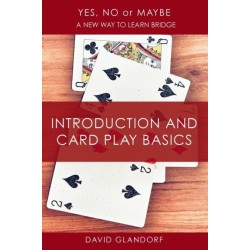 Ynm: Introduction and Card Play Basics