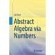Abstract Algebra via Numbers