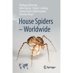 House Spiders - Worldwide