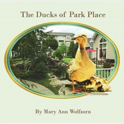 The Ducks of Park Place