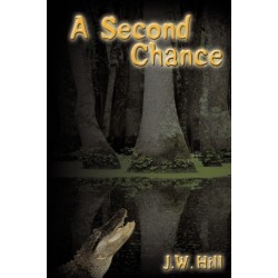 A Second Chance