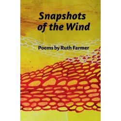 Snapshots of the Wind