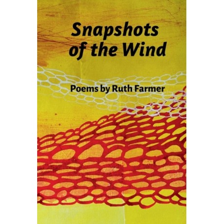 Snapshots of the Wind