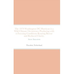 The 1979 Washington DC Hurrican is a Wild Climate Occurrence Producing with it Freezing Conditions Roaring Breeze and Reduced Clarity.: Severe Snowstorm