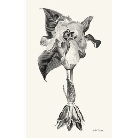 wild irises
