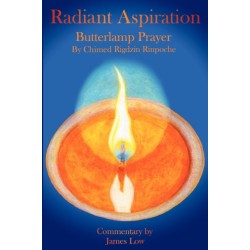 Radiant Aspiration: The Butterlamp Prayer Lamp of Aspiration