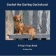 Dashel the Darling Dachshund