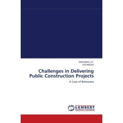 Challenges in Delivering Public Construction Projects