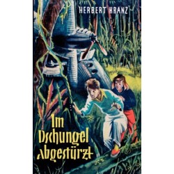 Im Dschungel abgesturzt