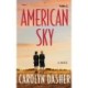 American Sky: A Novel