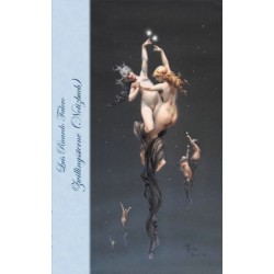 Zwillingssterne (Notizbuch): Notebook, Fantasy, Fantasie, Fee, Hexe, Teufel, Erotik, nackt, Halloween, Feen, Zwerg, Prinzessin, Marchen, Saga, Sage, Elfen, verzaubert, Zauber, Meerjungfrau, Einhorn, Riese, Prinz, Prinzessin, Burg, Wald, Original, Klassike