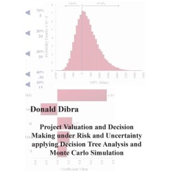 Project Valuation and Decision Making under Risk and Uncertainty applying Decision Tree Analysis and Monte Carlo Simulation