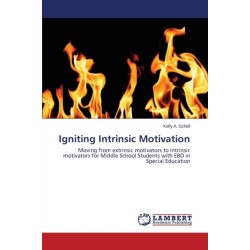 Igniting Intrinsic Motivation