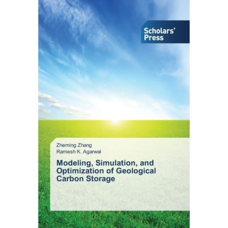 Modeling, Simulation, and Optimization of Geological Carbon Storage