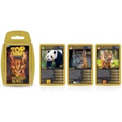 Awesome Animals Card Game