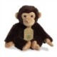 Eco Nation Chimpanzee