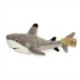 Eco Nation Blacktip Shark