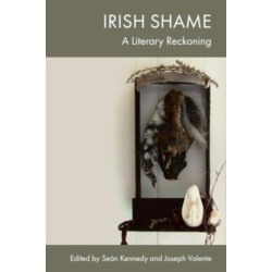 Irish Shame: A Literary Reckoning