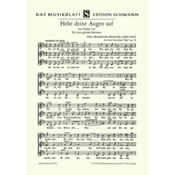 Hebe deine Augen auf zu den Bergen