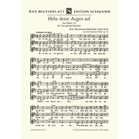 Hebe deine Augen auf zu den Bergen