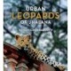 Urban Leopards of Jhalana