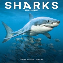 Sharks Calendar 2026  Square Animal Wall Calendar - 16 Month