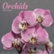 Orchids Calendar 2026  Square Flowers Wall Calendar - 16 Month