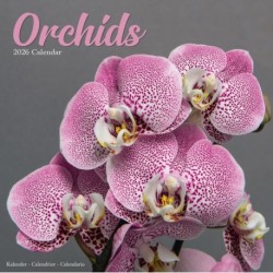 Orchids Calendar 2026  Square Flowers Wall Calendar - 16 Month