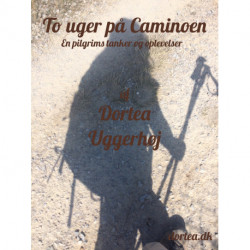 To uger på Caminoen: En pilgrims tanker og oplevelser