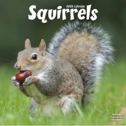 Squirrels Calendar 2026  Square Animal Wall Calendar - 16 Month