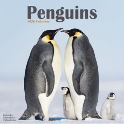 Penguins Calendar 2026  Square Animal Wall Calendar - 16 Month
