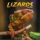 Lizards Calendar 2026  Square Animal Wall Calendar - 16 Month