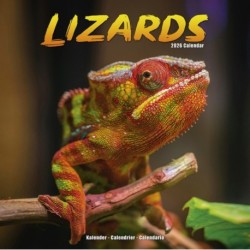 Lizards Calendar 2026  Square Animal Wall Calendar - 16 Month